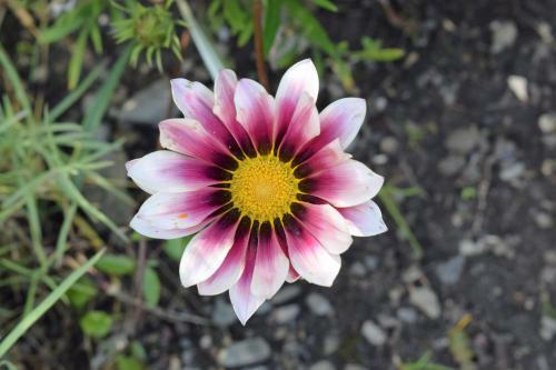 Agroturismo Ferienhof Mairulrich