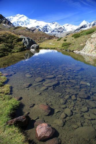 Hostal Gasthof Edelweiss