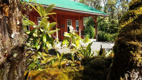 Hostal Alii Kane Cottage With Loft