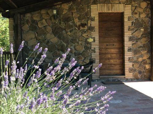 Agroturismo Agriturismo Il Morello