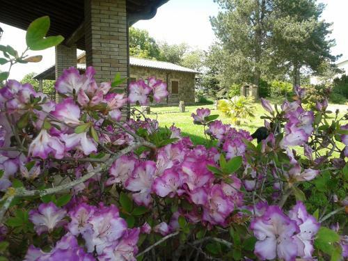 Agroturismo Agriturismo Il Morello
