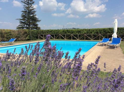 Agroturismo Agriturismo Il Morello