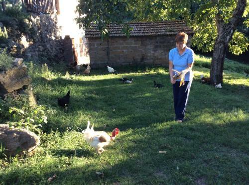 Agroturismo Agriturismo Il Morello