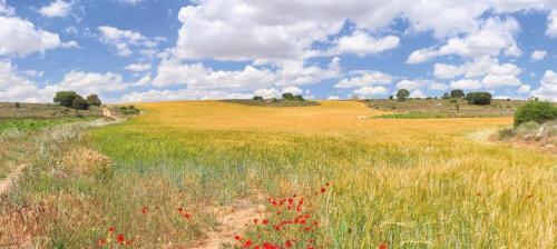 Hotel Rural Plaza Mayor Chinchon