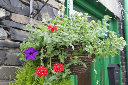 The Lakes B&B