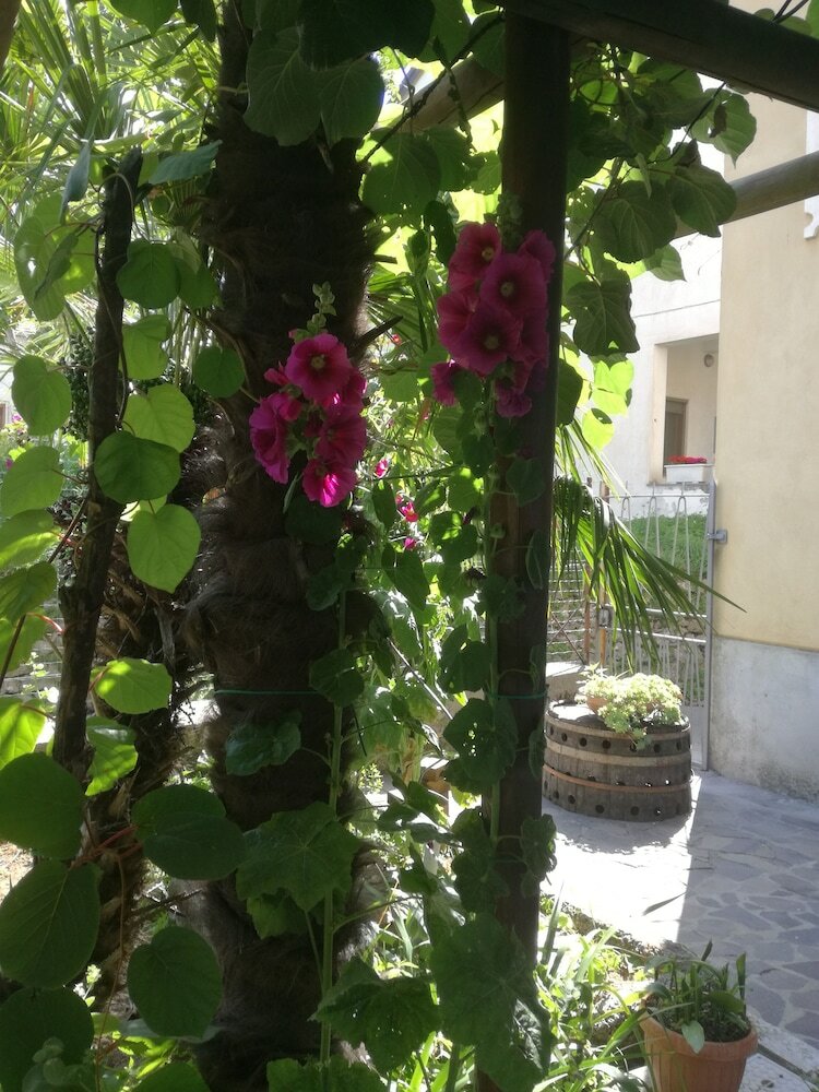 Hotel Gentile