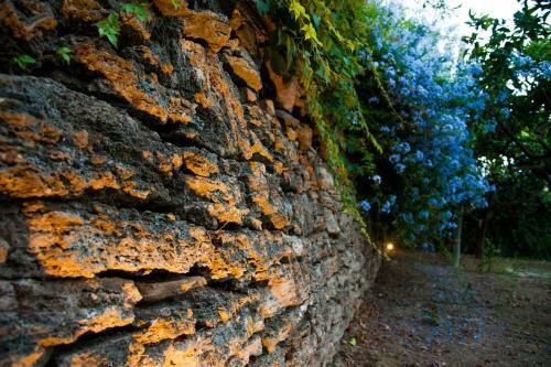 Bed & Breakfast Gli Aranci