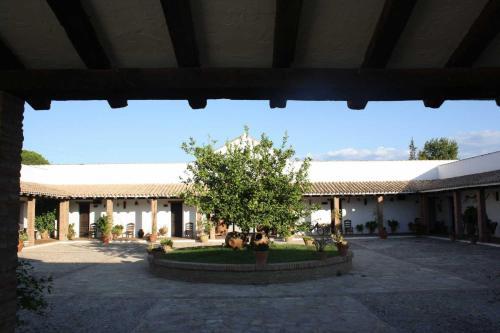 Agroturismo Cortijo Mesa De La Plata