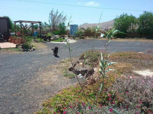 Agroturismo Casa Rural Soleario