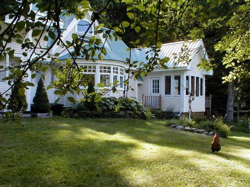 Bed & Breakfast Mountain Valley Retreat