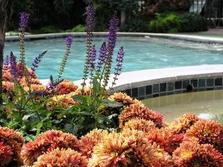 Hotel Roman Spa Resort