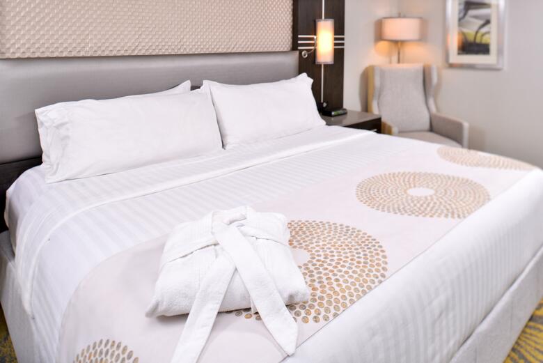 Hotel Holiday Inn Richardson