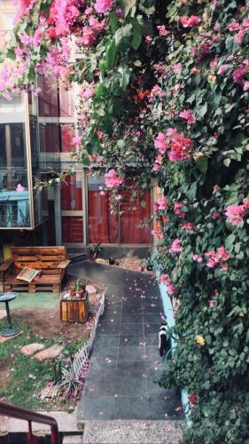Albergue Hostal And Suites Bella 269