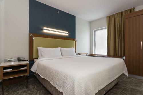 Hotel Springhill Suites Charlotte Ballantyne
