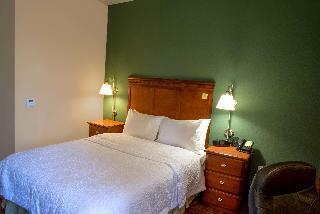 Hotel Hampton Inn Charleston Downtown Civic Center