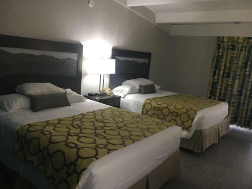 Hotel Alpine Lodge & Suites