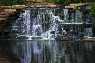 Hotel Sawgrass Marriott Golf Resort & Spa