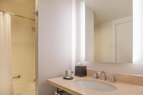 Hotel Sheraton Suites Chicago Elk Grove