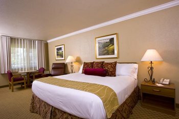 Hotel Best Western Dry Creek Inn
