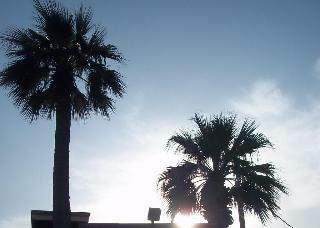 Motel Whispering Palms Inn