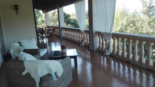 Villa Can Marquesi