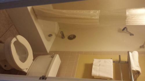 Sunbelt Lodge Motel
