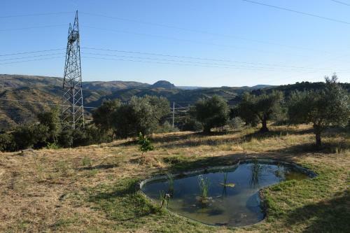 Agroturismo Douro Natura