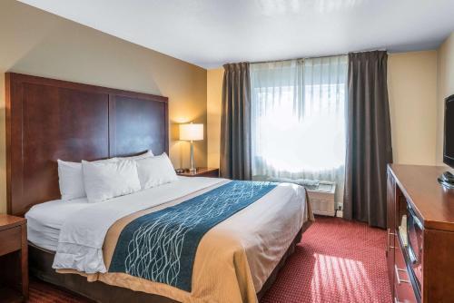 Hotel Comfort Inn Lacey