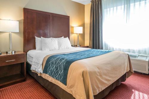 Hotel Comfort Inn Lacey