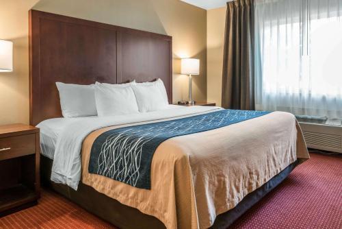 Hotel Comfort Inn Lacey