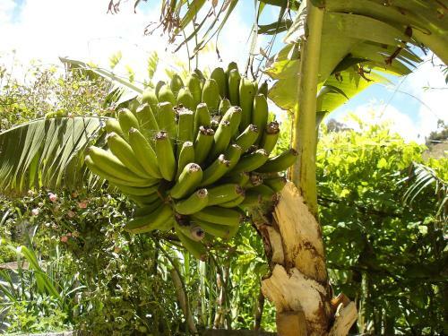 Holiday Home Sao Vicente