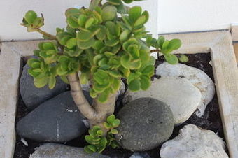 Ericeira Chill Hill Hostel & Private Rooms