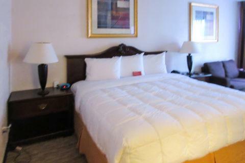 Hotel Regency Inn Sulphur Springs