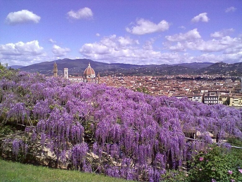 Bed & Breakfast Soggiorno Alessandra