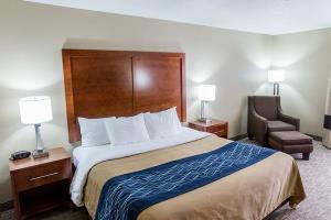 Hotel Comfort Inn Ottawa