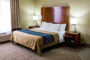 Hotel Comfort Inn Ottawa