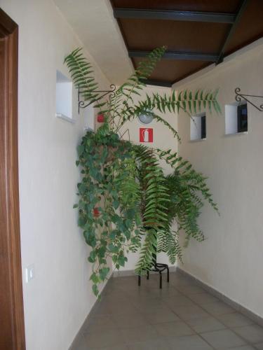 Aparthotel Triana II