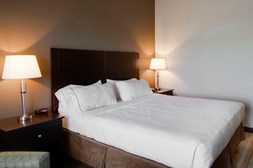 Hotel Holiday Inn Express & Suites Nevada