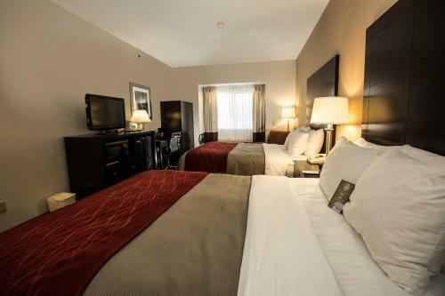 Hotel Comfort Inn Mount Airy