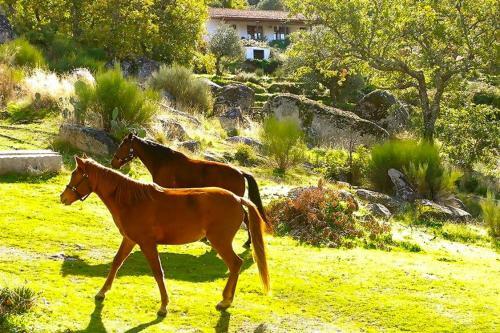 Agroturismo Quinta Do Marvao