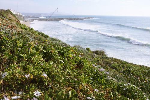 Albergue Lone Surfer Ericeira
