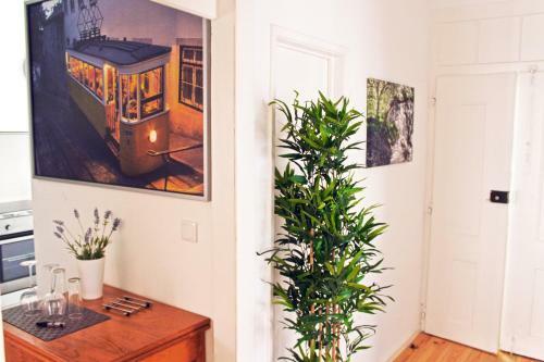 Blue Budget Apartments Bairro Alto