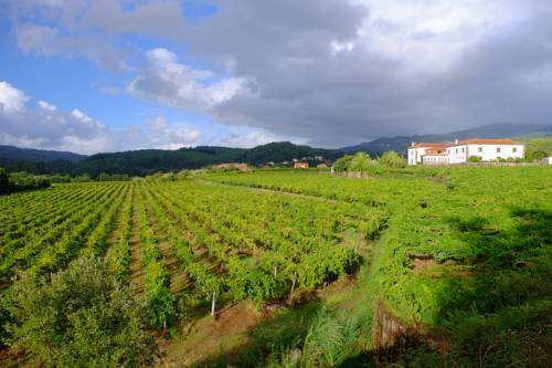 Agroturismo Hotel Reguengo De Melga�o