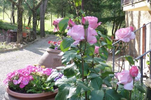 B&B Antico Podere Il Bugnolo