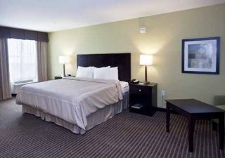 Hotel Comfort Suites Harvey - New Orleans West