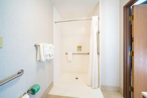 Hotel Holiday Inn Express Rochelle