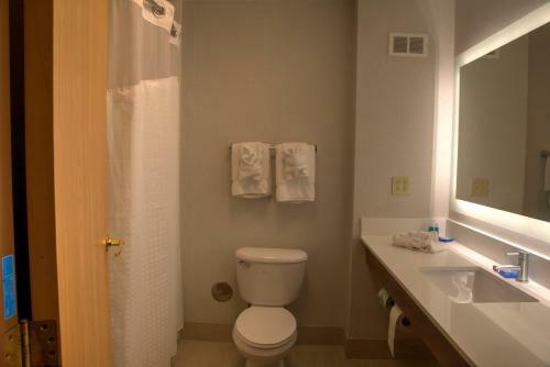 Hotel Holiday Inn Express Rochelle