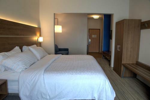 Hotel Holiday Inn Express Rochelle