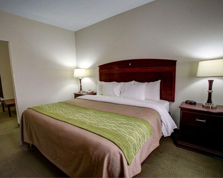 Hotel Comfort Inn Rockdale
