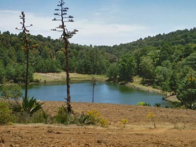 Agroturismo Hacienda De La Luz